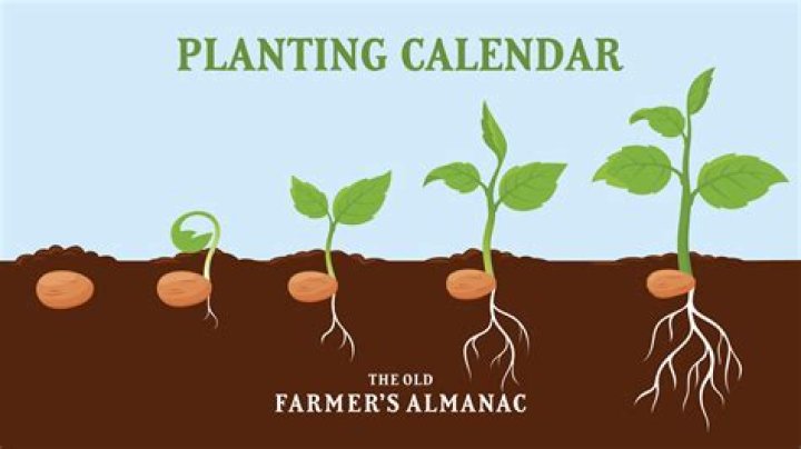 【How-to】What month do farmers plant their crops