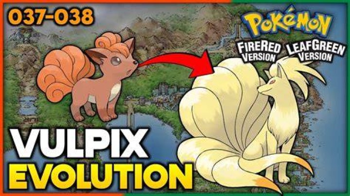 【How-to】When does vulpix evolve in pokemon sword