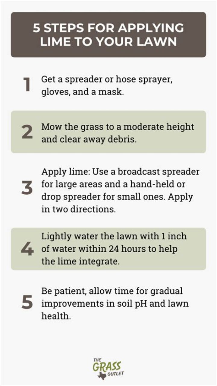 【How-to】When to use lime on lawn