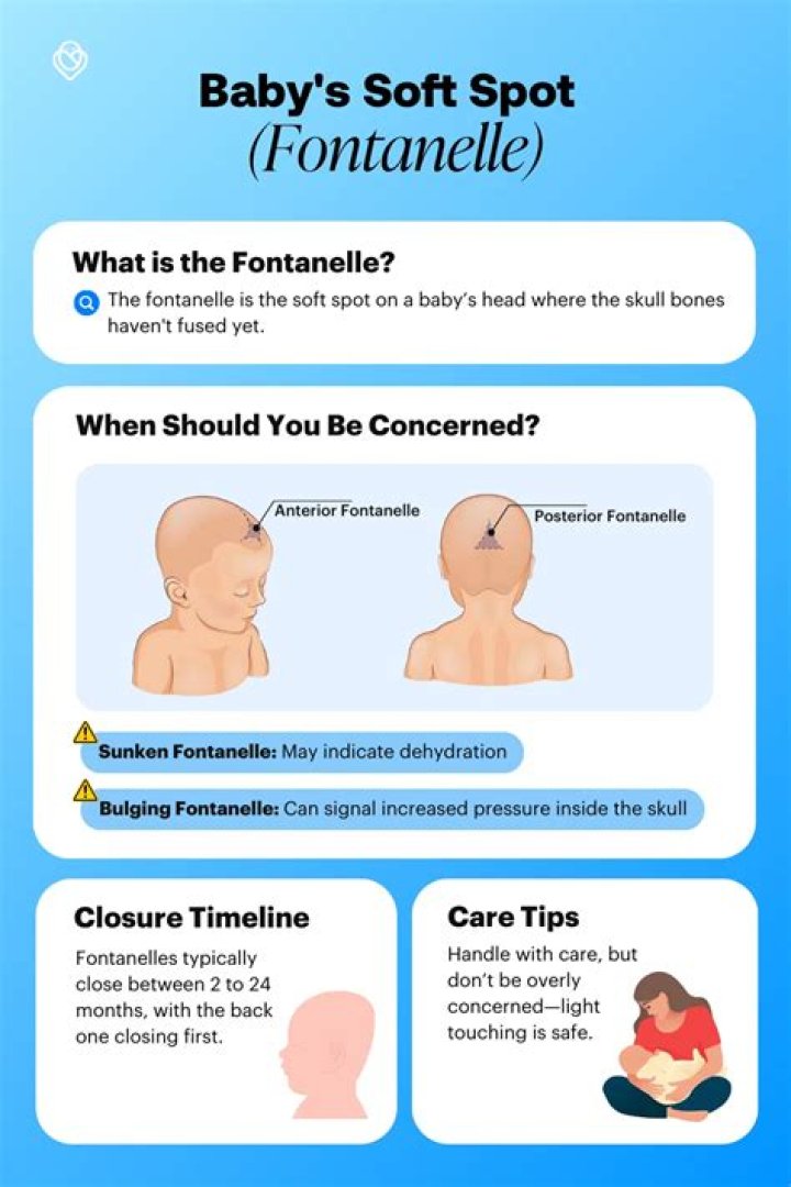【How-to】Where are baby soft spots