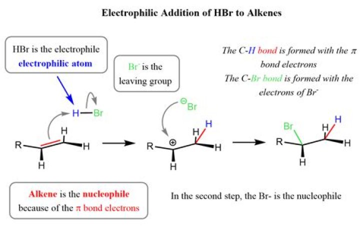 【How-to】Why alkenes are called olefins