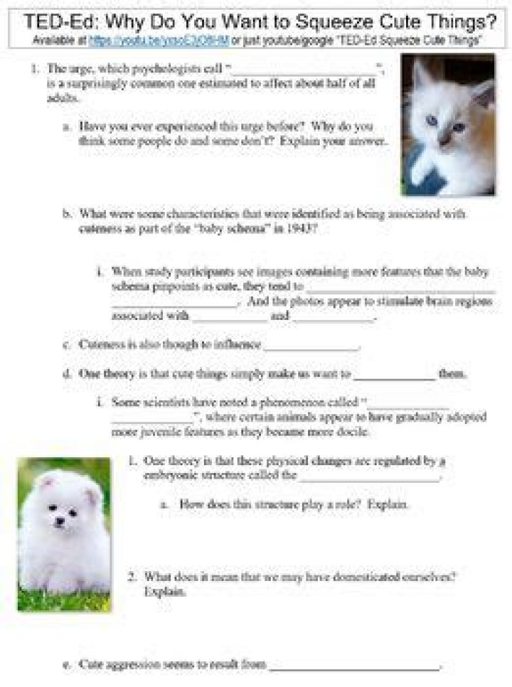 【How-to】Why do we want to squeeze cute things