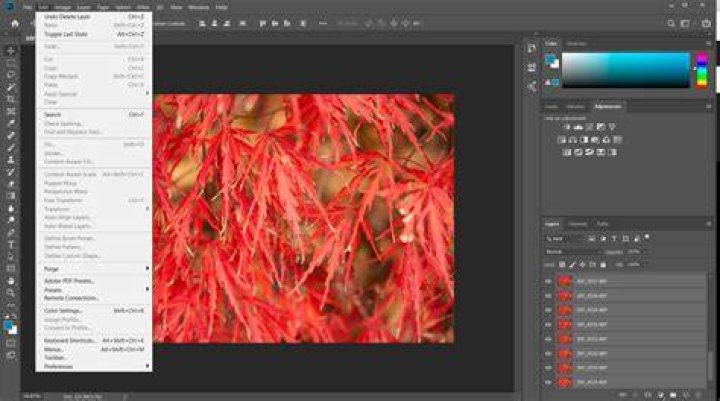 【How-to】Why is align greyed out photoshop