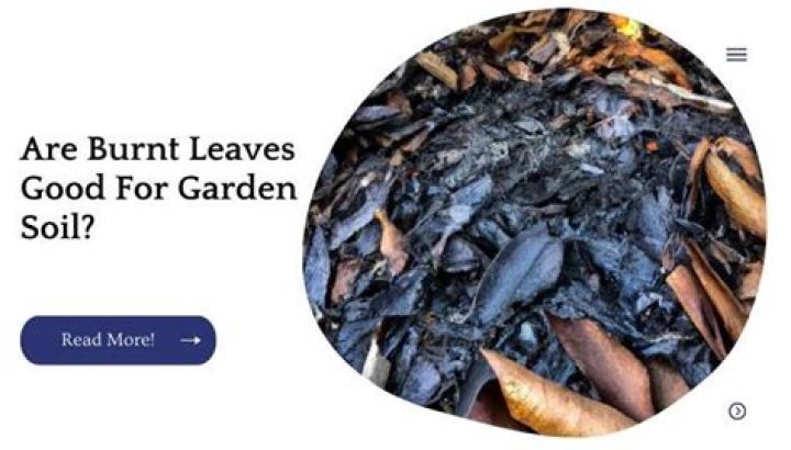 Is burnt leaves good for soil?