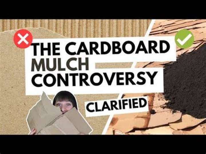 Is cardboard better than landscape fabric?