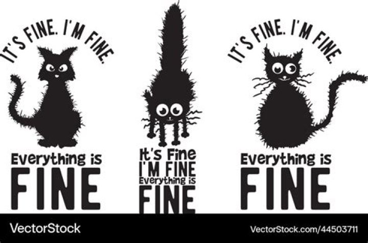 Is fine for me fine for me?