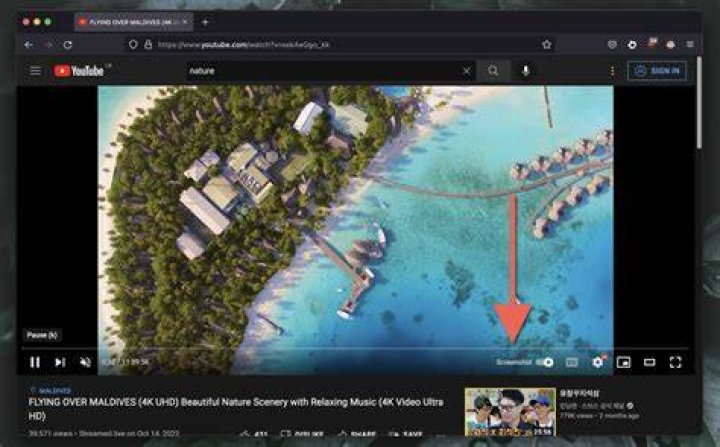 Is it legal to take screenshot of YouTube videos?