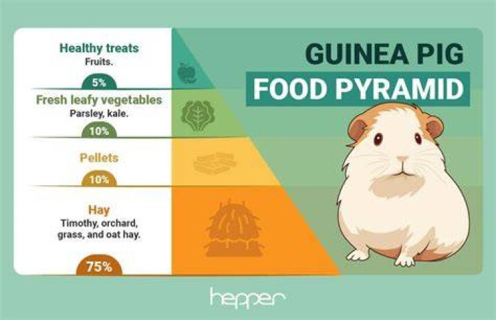 Is it okay for guinea pigs to eat grass?