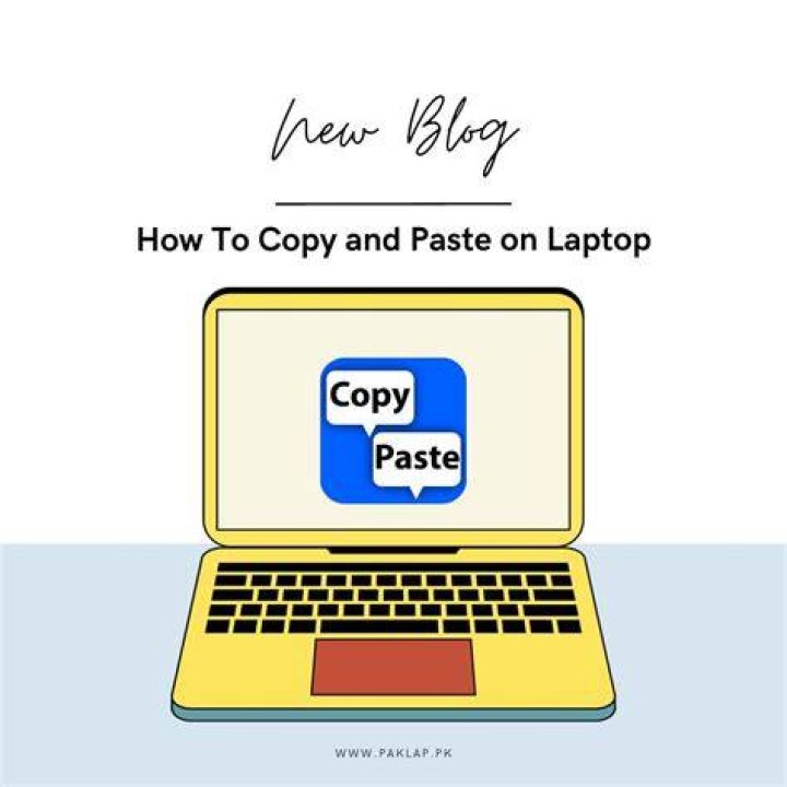 Is it okay to copy and paste information from the Internet?