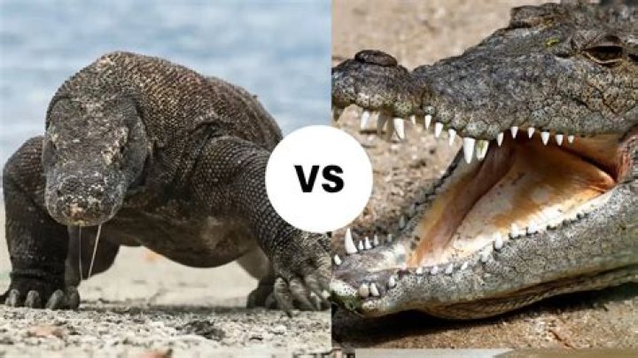 Is Komodo stronger than stockfish?