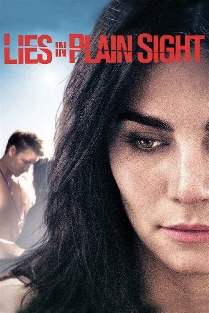 Is lies in plain sight on Netflix?
