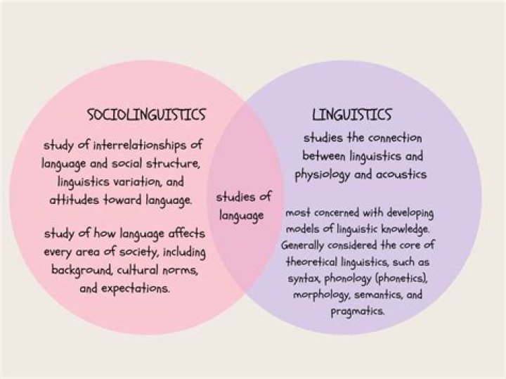 Is Linguistics and language same?