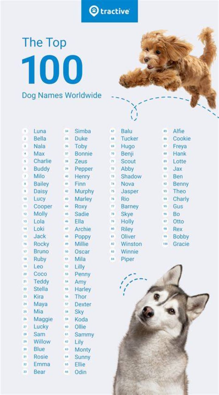 Is Lola a good dog name?