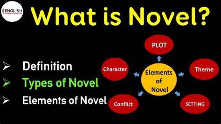 Is novel a name?