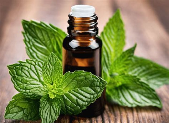 Is peppermint oil safe for humans?