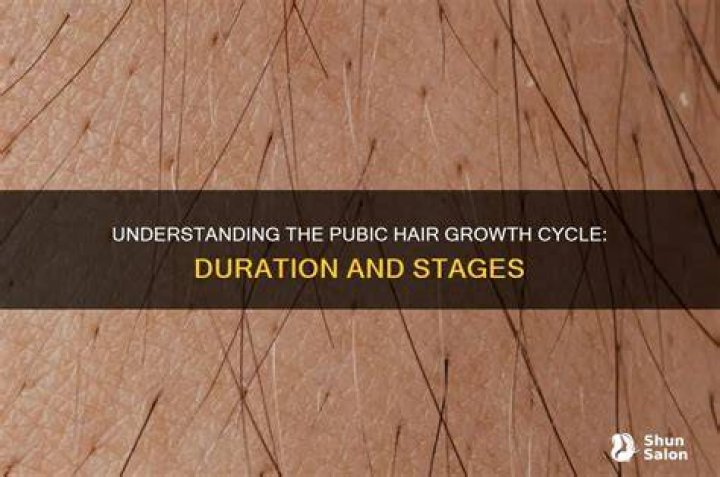 Is pubic hair back in 2022?