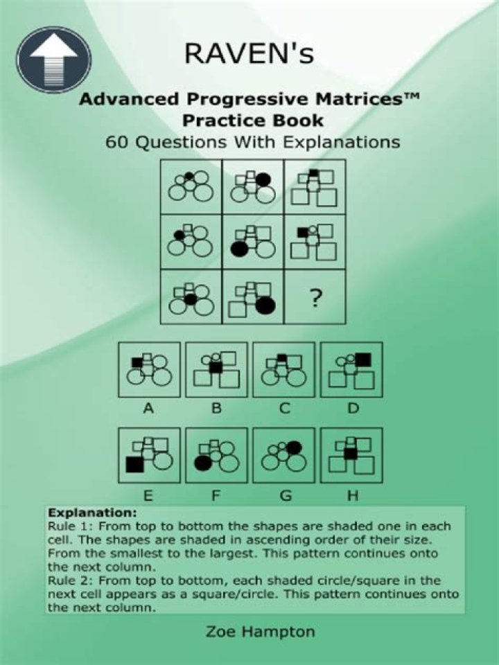 Is Ravens Progressive Matrices an IQ test?