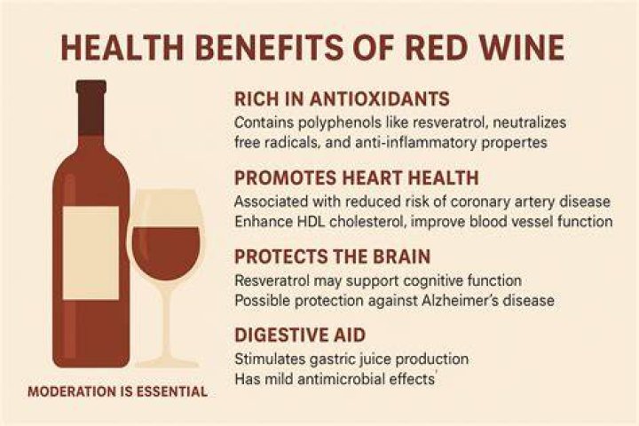 Is red wine good for seniors?