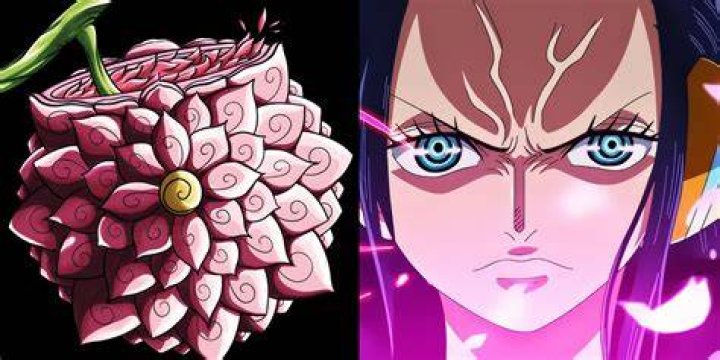 Is Robin's Devil Fruit awakened?