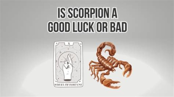Is Scorpion good or evil?