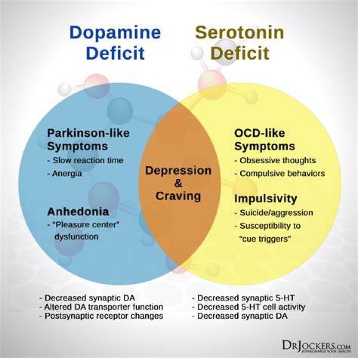 Is serotonin low in ADHD?