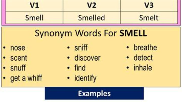 Is smelt the past tense of smell?
