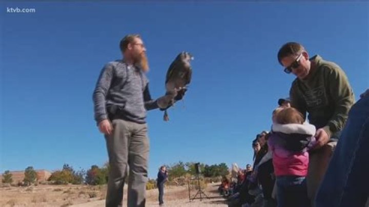 Is the bird really the word?
