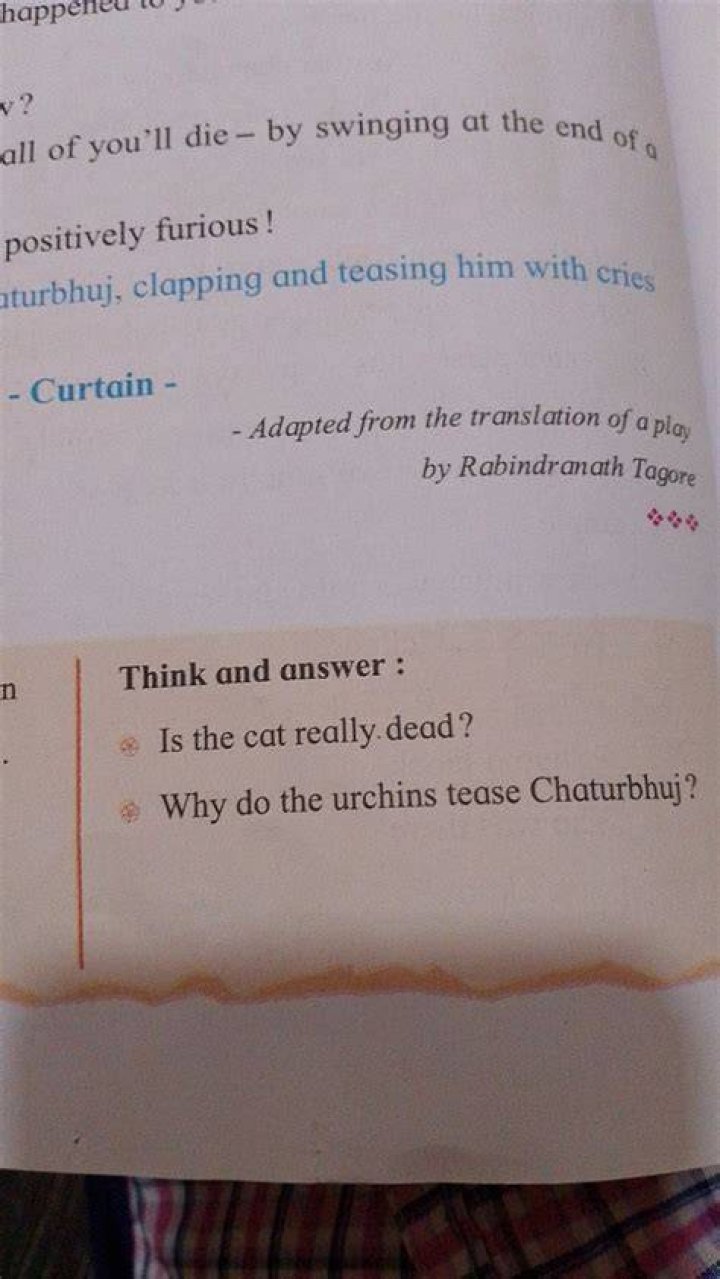 Is the cat really dead answer?