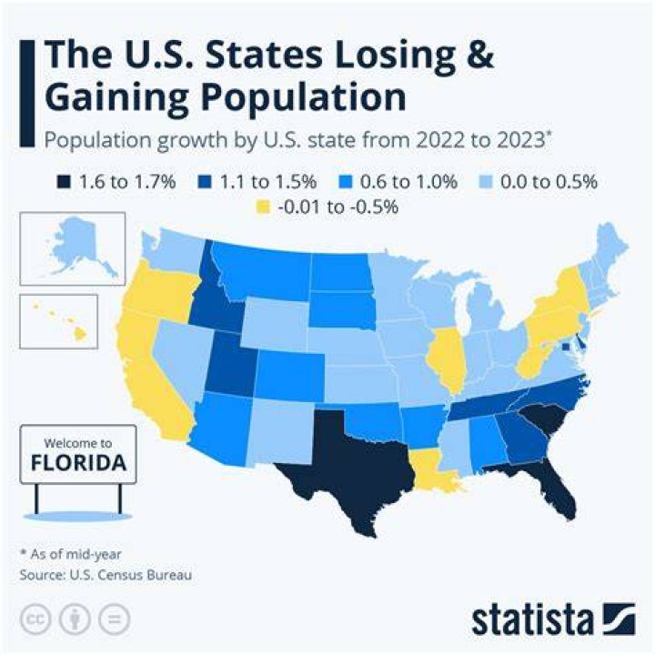 Is the US gaining forest?