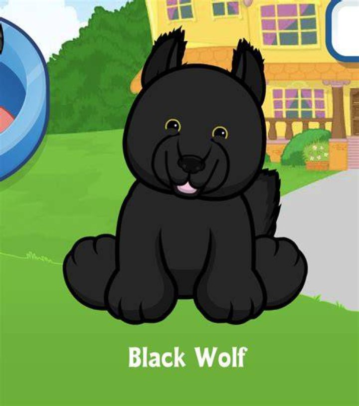 Is there a code for Webkinz Black Wolf?
