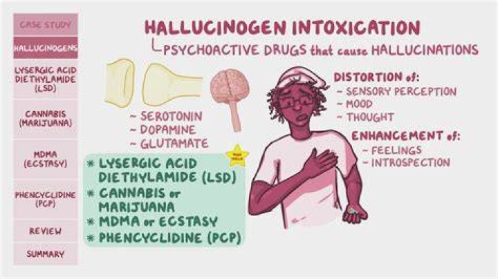 Is there a mold that makes you hallucinate?