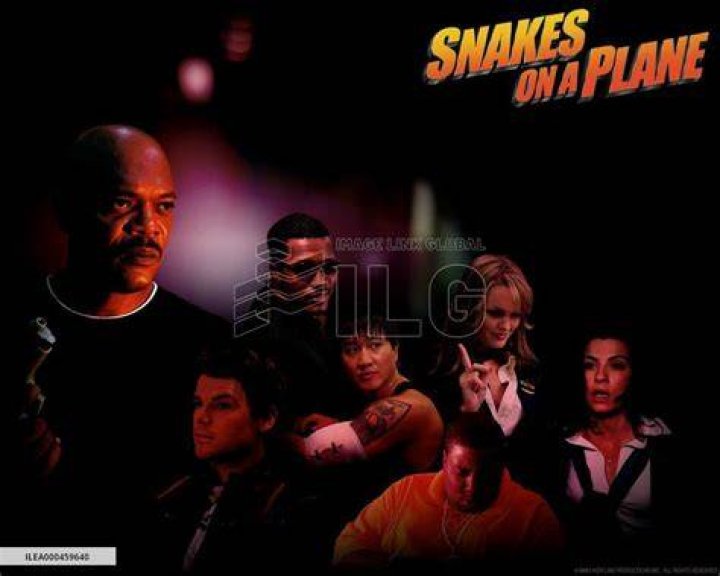 Is there a Snakes on a Plane 2?