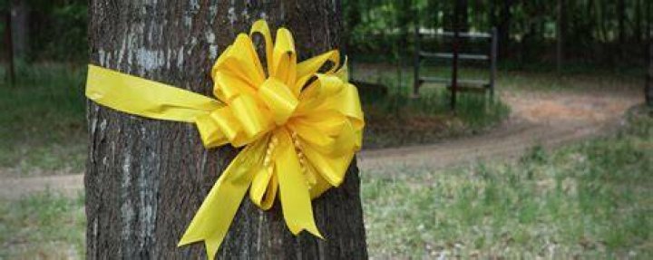 Is Tie a Yellow Ribbon a true story?