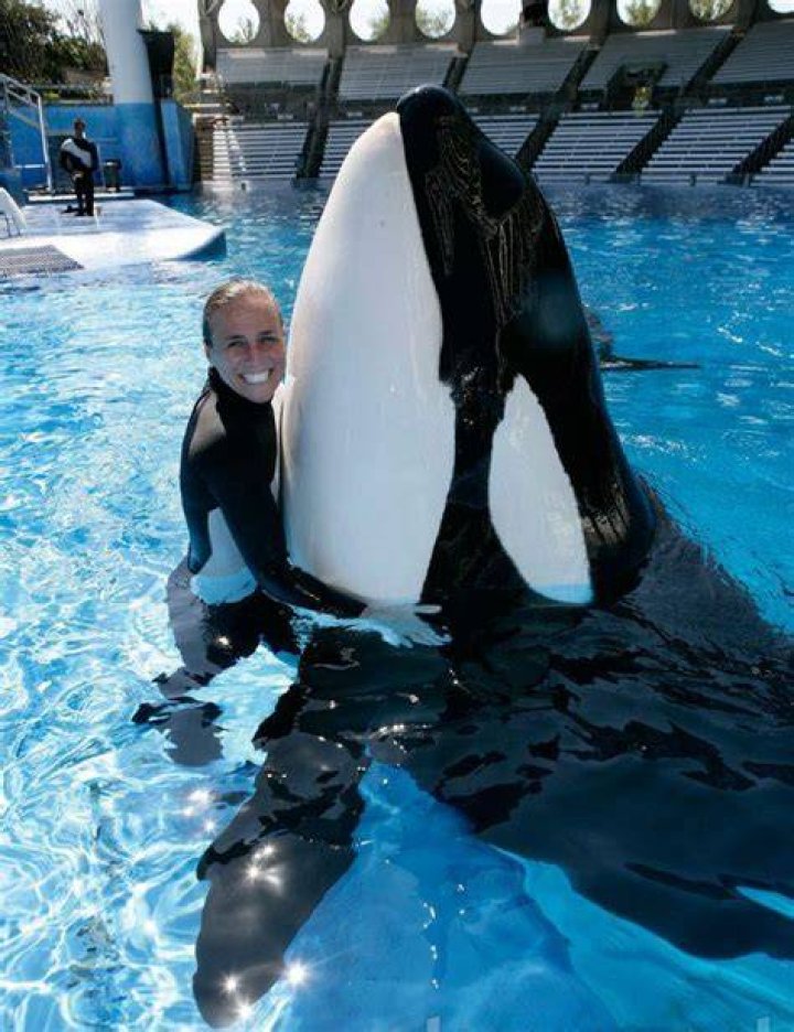 Is Tilikum free now?
