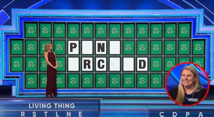 Is Wheel of Fortune wheel rigged?