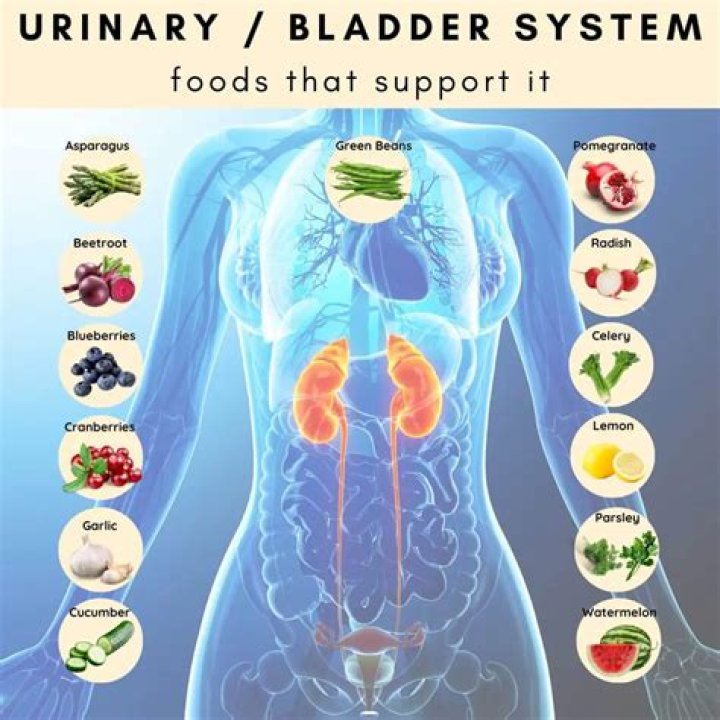 Is yogurt good for bladder?