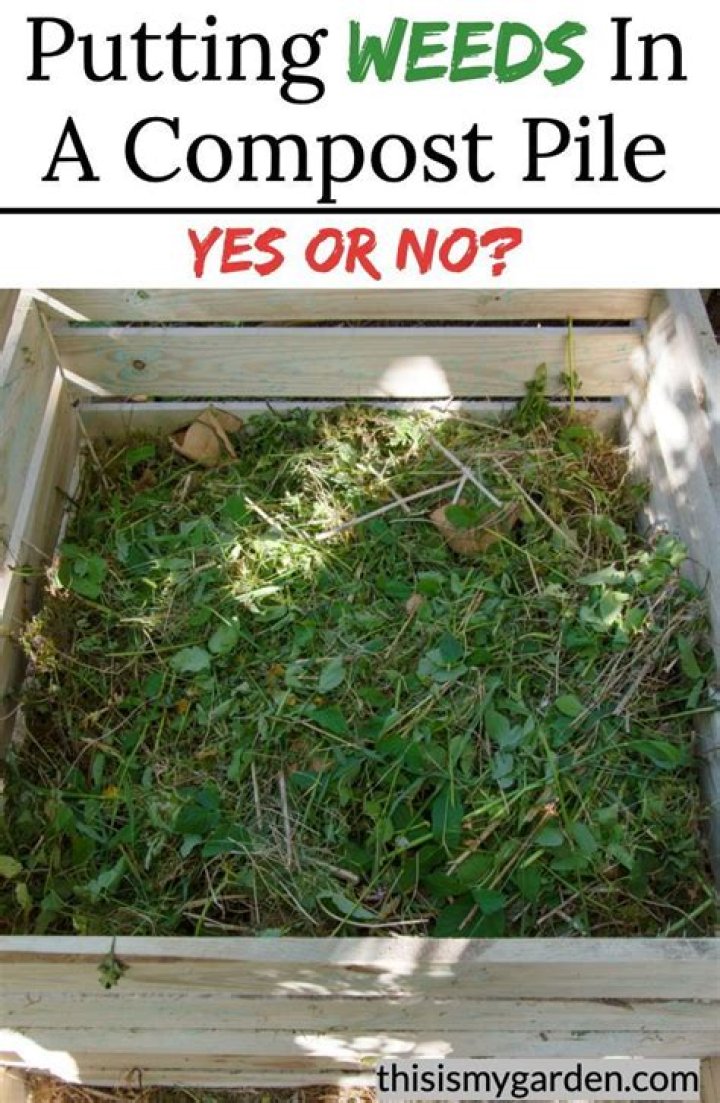 Should I put weeds in my compost bin?