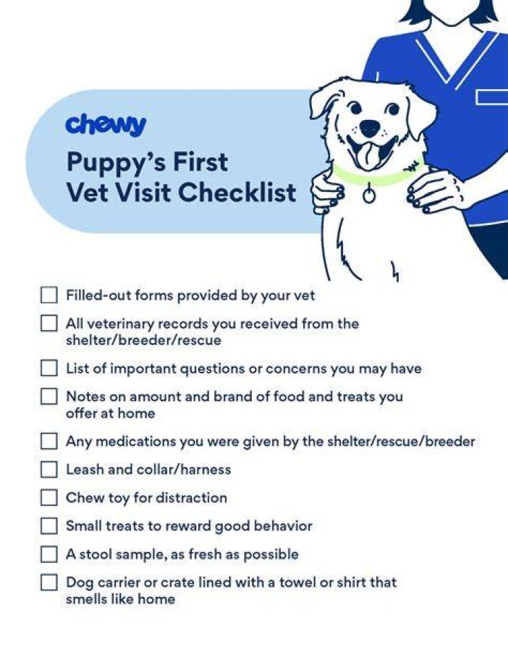 Should pet insurance come before first vet visit?
