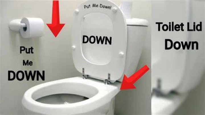Should you leave your toilet lid up or down?