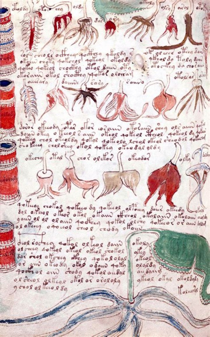 Was the Voynich Manuscript decoded?