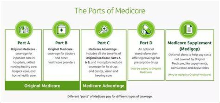 What's the difference between Medicare Part B and Medicare Part D?