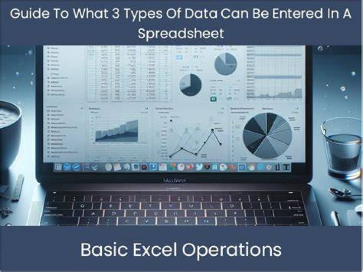 What 3 types of data can be entered in a spreadsheet?