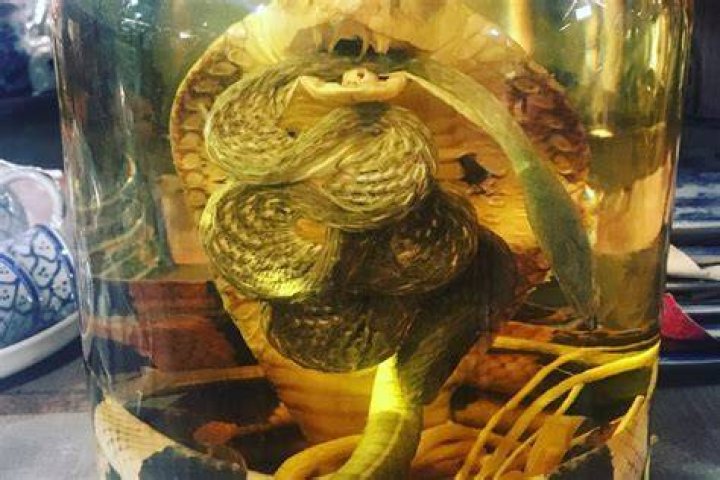 What alcohol do they put snakes in?