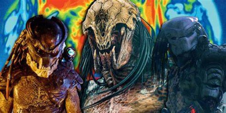 What animal is the ultimate predator?