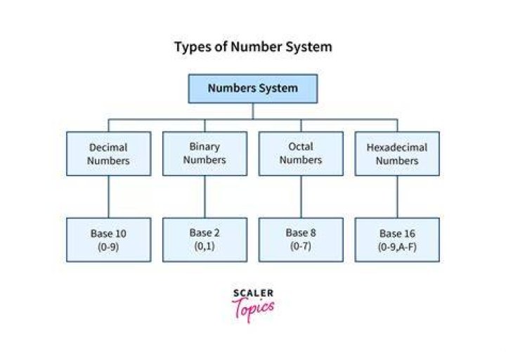 What are 3 types of number systems?