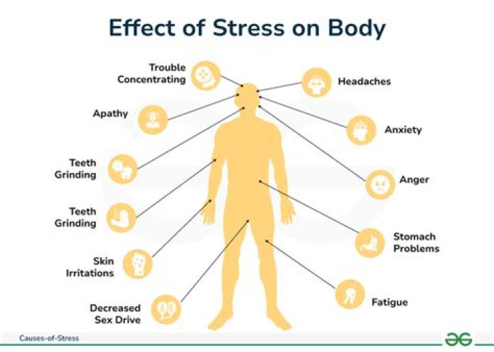 What are 5 effects of prolonged stress?