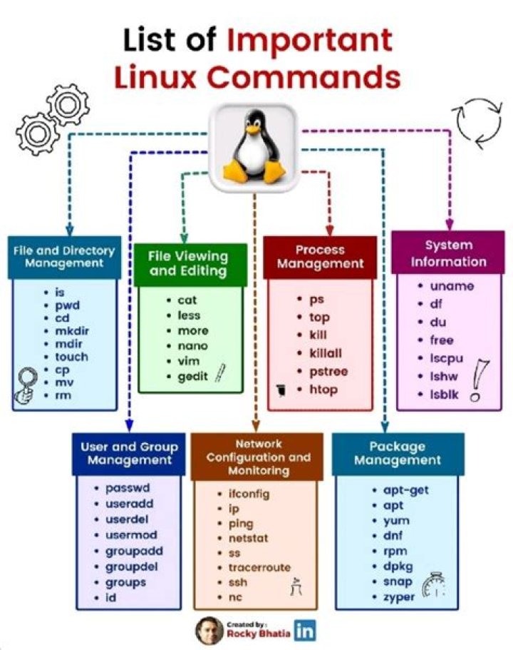 What are 5 Linux commands?