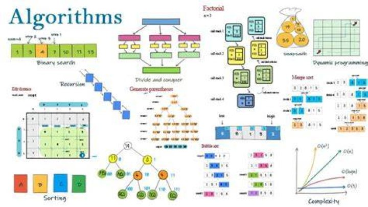 What are algorithmic questions?