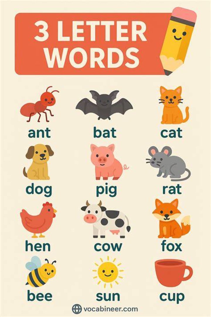 What are all the 3 letter words?