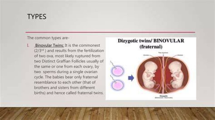 What are Binovular twins?